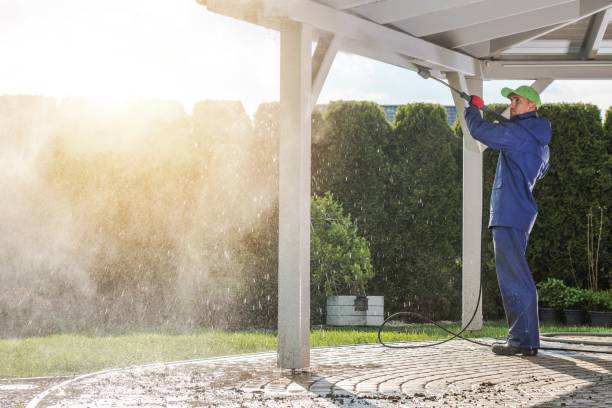 Best Roof Washing  in Farmville, NC